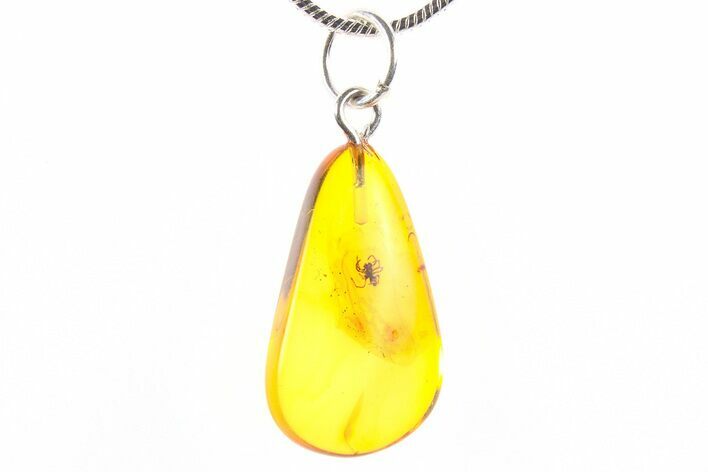 Polished Baltic Amber Pendant (Necklace) - Contains Spider! #273743